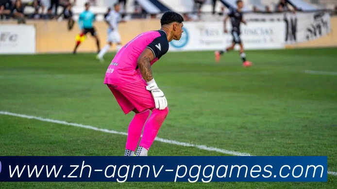 PG电子平台生态图