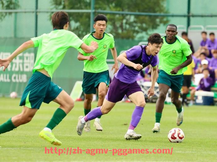 pg电子在线下载-法甲顶级前锋球员实力排名与进球表现